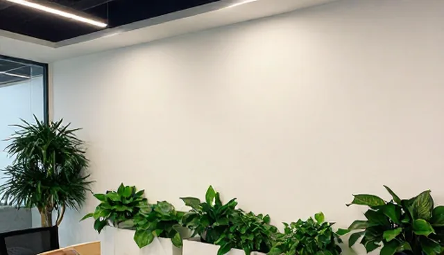 消杀服务使用建议：适用情况与限制分析