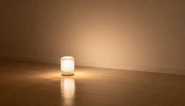 种苗配送服务选型与适用条件建议