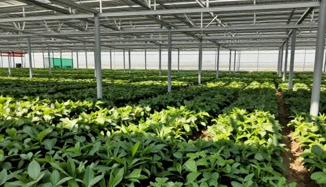 废气治理中选型关注点影响治理效果的原因分析