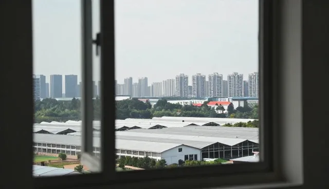 灵活应用中的技术方案选型误区与应对策略