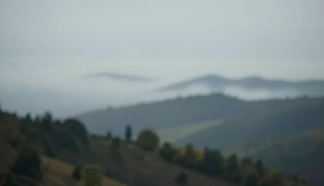技术开发服务中项目经验积累的关键环节