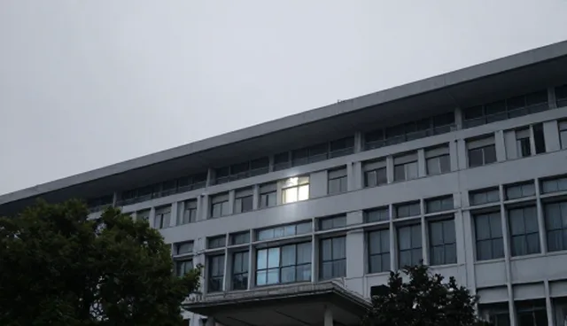 内容创作中数据分析的实际应用与常见问题处理