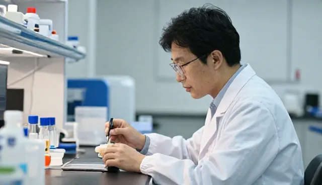 技术转让中选型关注点影响结果的原因