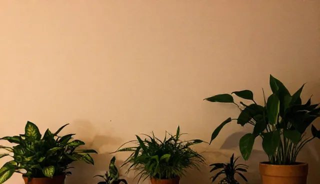 技术型企业如何高效管理设备维护与使用