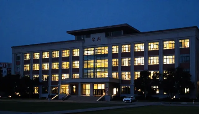 技术支持在技术开发中的适用情况与限制