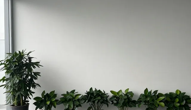 技术支持服务在不同规模企业中的适用条件分析