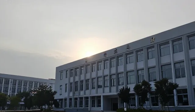 短视频运营中后续运维响应的关键作用