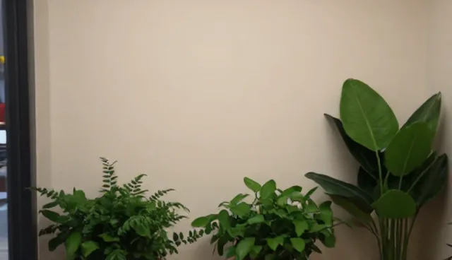 视频剪辑在品牌传播中有哪些实际问题？