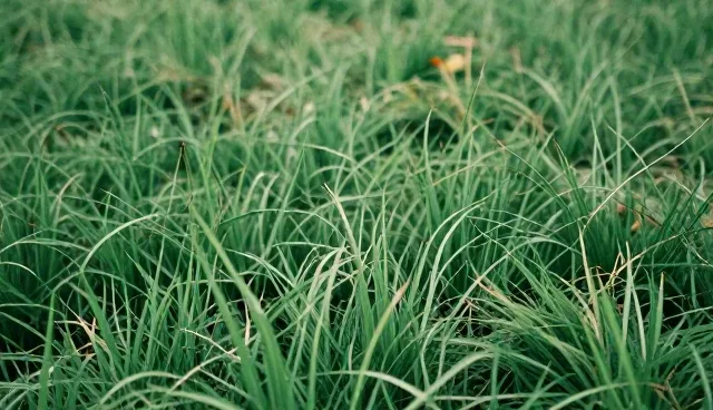 系统集成运维中资源分配的优化建议