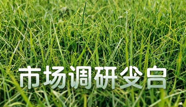 市场调研如何通过数据采集与分析提升问题解决能力