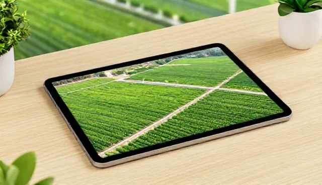 软件开发中性能优化的选型与维护建议