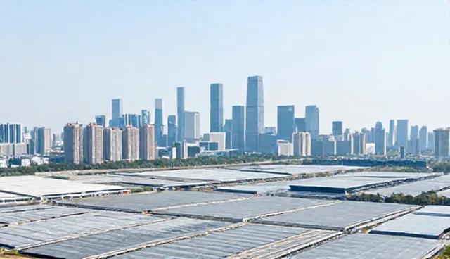 软件研发选型关注点：成果转化的关键要素