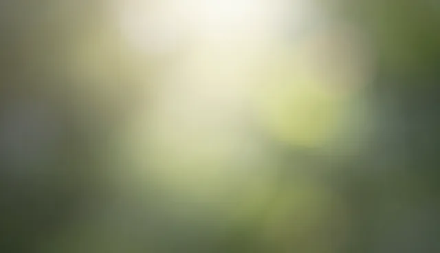 应用开发操作流程中的常见问题与处理方法