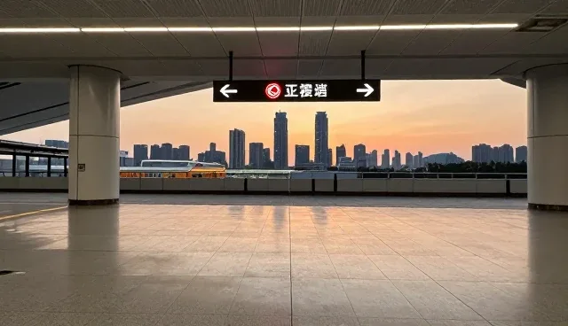 冷链配送分装流程优化：集中vs分散的取舍分析