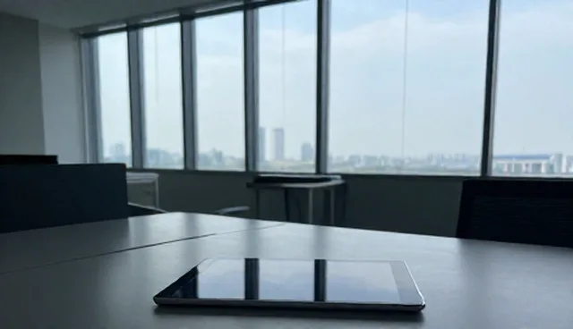 系统集成中使用限制如何影响技术咨询