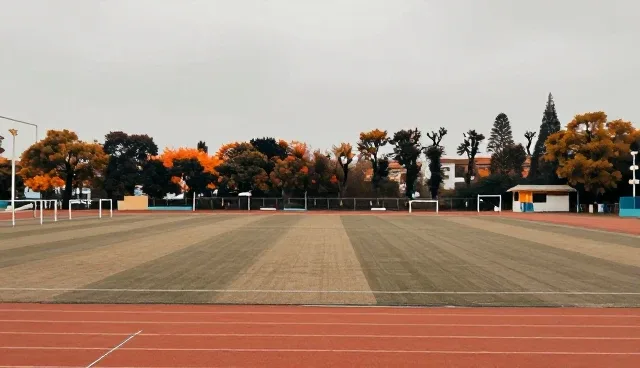 教育信息如何助力学生提升学习效率？