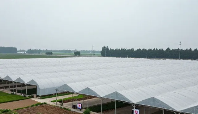 媒介投放套餐如何优化内容策略，提升转化效率
