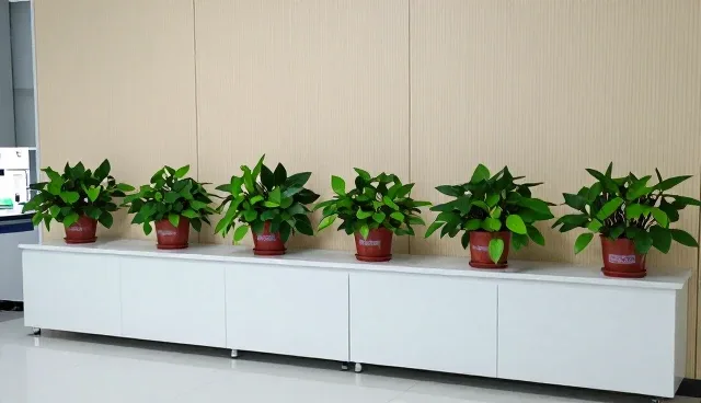 活动运营应用场景：限制条件分析与选型关注点