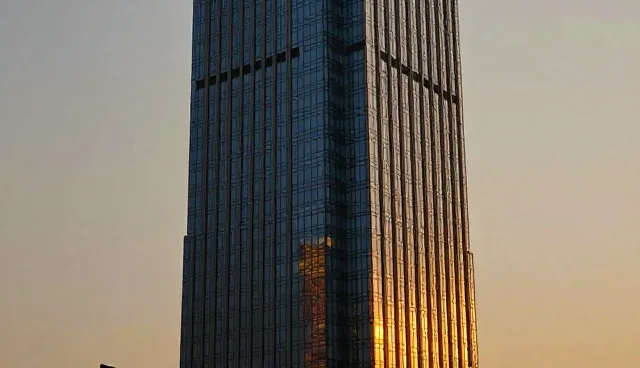 技术开发中技术支持的适用情况与限制分析