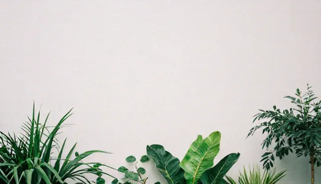 AI人工智能提示词初级导师，如何提升电商运营效率