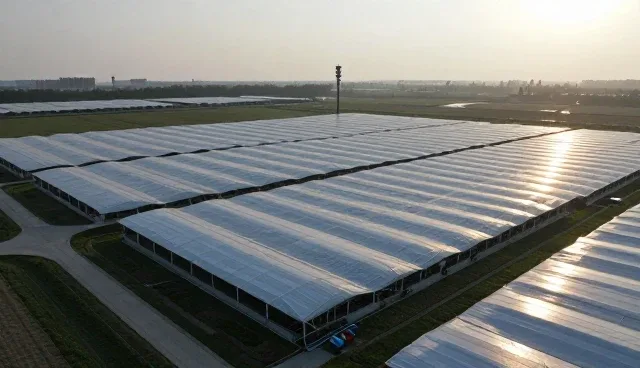 文心一言AI平台搜索优化套餐的检查要点与选型关注点