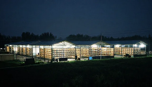 教辅资料在课堂中的实际应用问题分析
