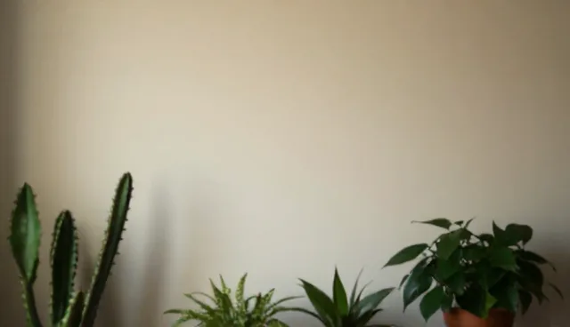 技术研究产品在哪些适用情况中更有效？