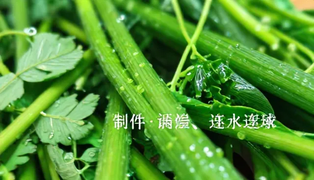 视频剪辑中内容质量的误区与正确理解
