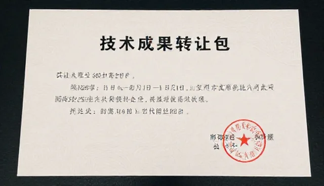 技术培训中的常见误区及正确处理方向