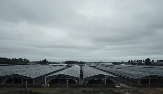 教案提示词的适用场景与技术限制分析