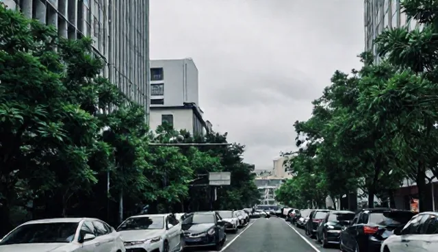 信息查询平台：定制化服务的使用趋势分析