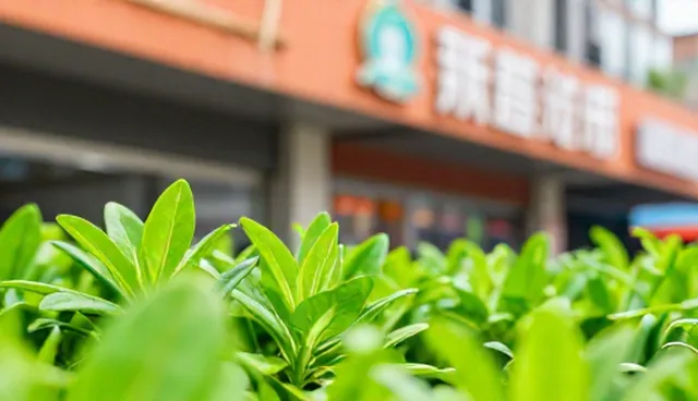 系统稳定性维护中技术外包的选择依据与适用条件