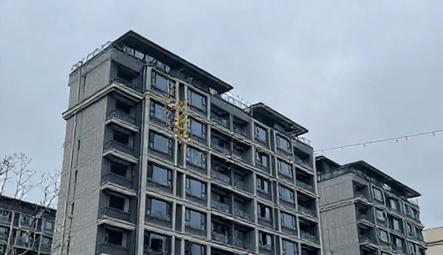 来料加工服务中理解偏差如何影响最终结果
