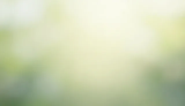 性能差异问题处理方向，提升技术服务效率
