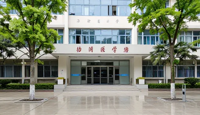 网站销售技巧在技术转让服务中的应用与实践