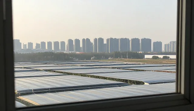 产品维护频率如何影响用户体验性能