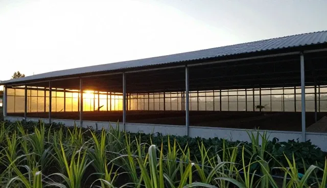 技术培训中的方案设计使用与维护建议