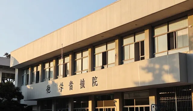 技术咨询中的选型关注点与维护策略建议