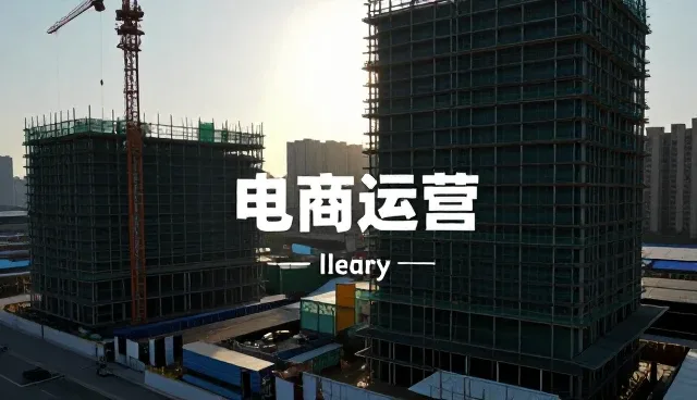 电商运营中网络工程与软件开发的取舍与趋势