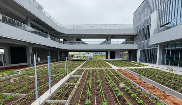 原料处理中的业务误区与正确理解