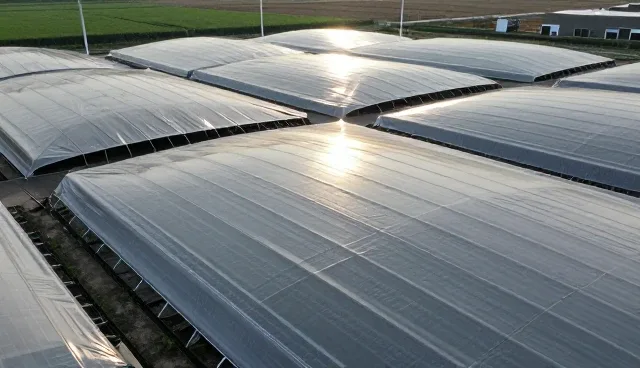 理解偏差的常见检查要点与使用建议