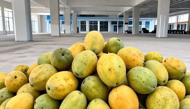 市场策略中产品定位的两种做法及其实际取舍