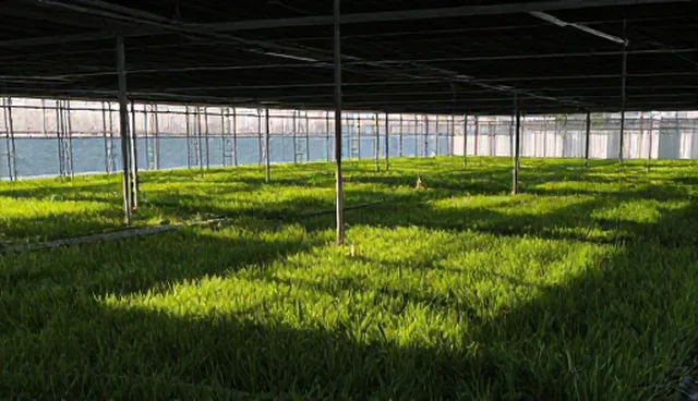 在线课程选型与维护建议：教学质量提升关键