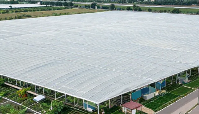 技术方案咨询中应用场景分析对结果的影响