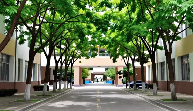 网站定制中两种做法的取舍与实际应用