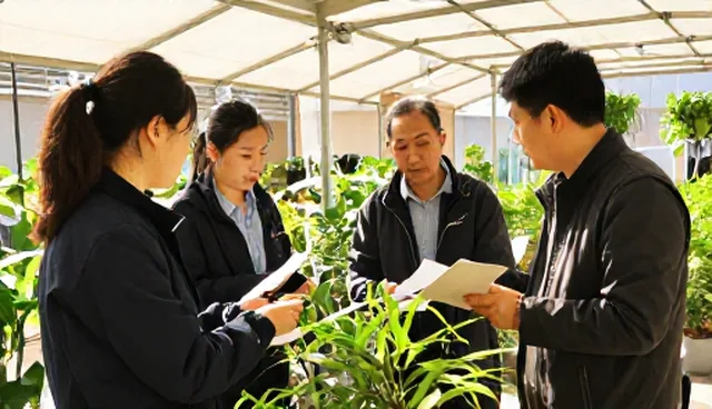 种苗供应中的应用场景分析及问题探讨