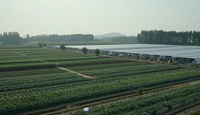 品牌宣传片制作中需关注的5大检查要点
