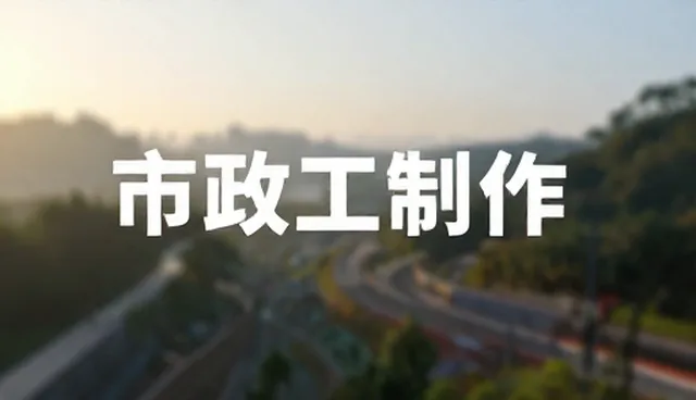 成本对比：品牌策划两种做法的实际取舍