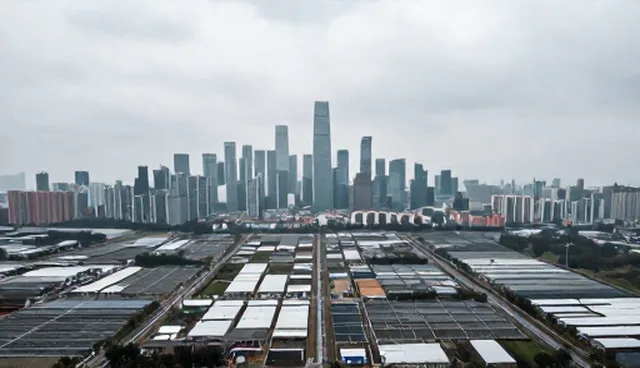 软件研发中的适用情况与技术支持误区辨析