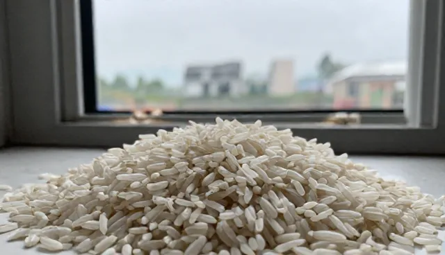 农资供应选型关注点：如何选择适合的生产流程